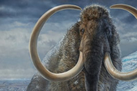 Thumbnail for 6903845