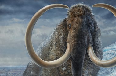 Thumbnail for 6903845