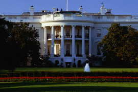 Thumbnail for 6903948