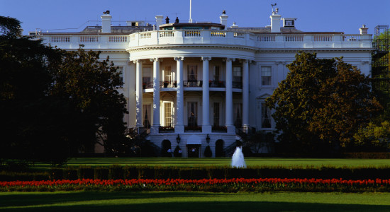 Thumbnail for 6903948