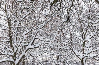 Thumbnail for 6904948