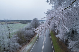 Thumbnail for 6904971