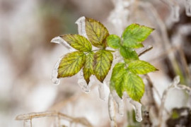 Thumbnail for 6905058