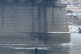 Thumbnail for 6905150