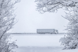 Thumbnail for 6905168