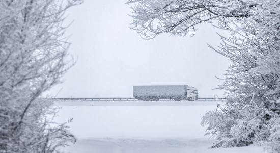 Thumbnail for 6905168