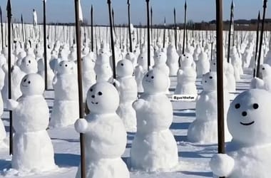 Thumbnail for 6905292