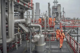 Thumbnail for 6905362