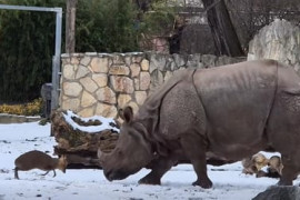 Thumbnail for 6905430