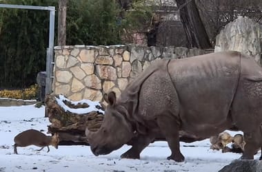 Thumbnail for 6905430