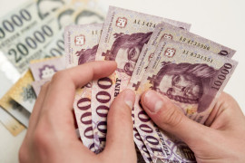 Thumbnail for 6905563