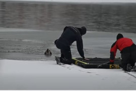 Thumbnail for 6905789