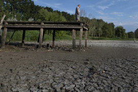 Thumbnail for 6906217