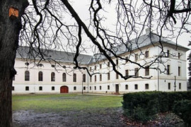 Thumbnail for 6906227