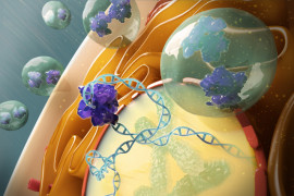 Thumbnail for 6906432