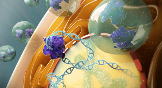 Thumbnail for 6906432