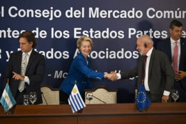 Thumbnail for 6906526