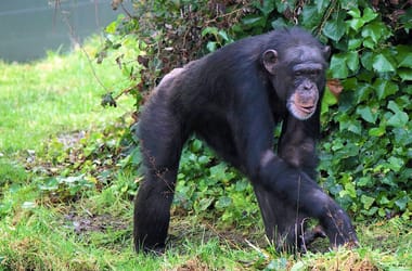 Thumbnail for 6906556