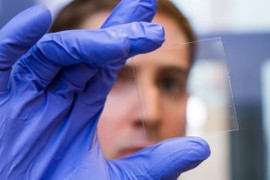 Thumbnail for 6906841