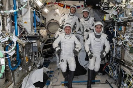 Thumbnail for 6906906