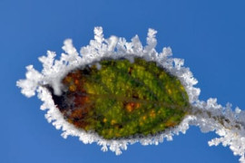 Thumbnail for 6907020