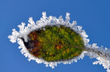 Thumbnail for 6907020