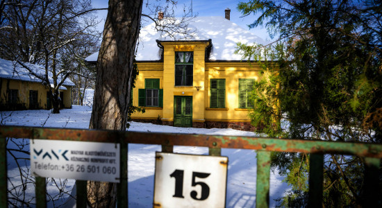 Thumbnail for 6907088