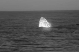 Thumbnail for 6907301