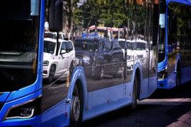 Thumbnail for 6907403