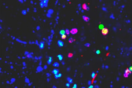 Thumbnail for 6907406