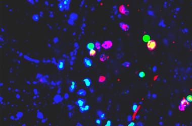 Thumbnail for 6907406