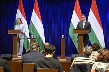 Thumbnail for 6907413