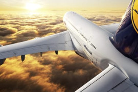 Thumbnail for 6907431