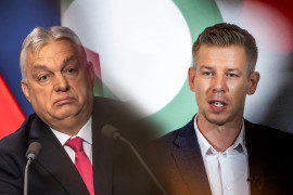 Thumbnail for 6907558