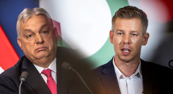 Thumbnail for 6907558