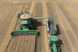 Thumbnail for 6907773