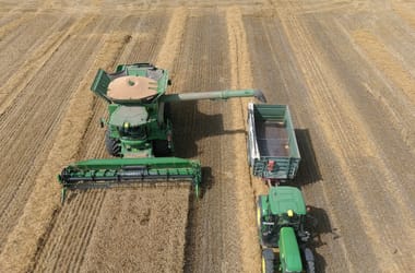 Thumbnail for 6907773