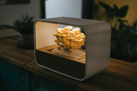 Thumbnail for 6907787