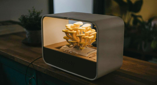 Thumbnail for 6907787