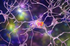 Thumbnail for 6907796