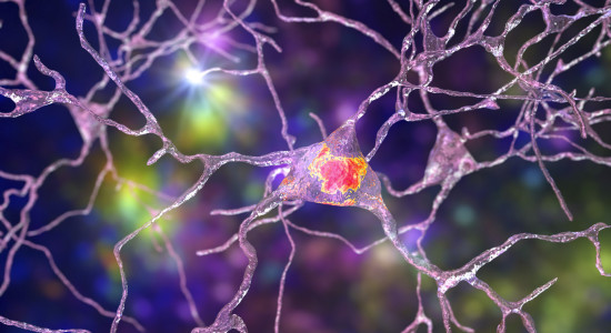 Thumbnail for 6907796