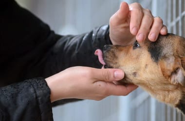 Thumbnail for 6907899