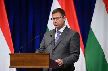 Thumbnail for 6907973