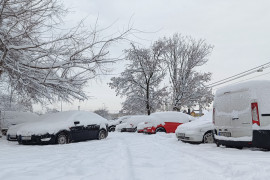 Thumbnail for 6908066