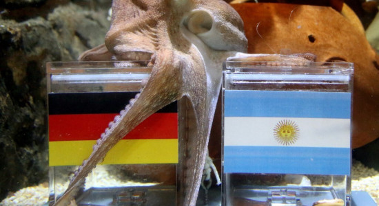 Thumbnail for 6908078