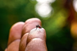 Thumbnail for 6908241