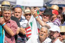 Thumbnail for 6908804