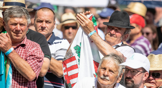 Thumbnail for 6908804