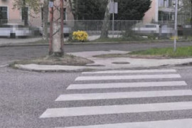 Thumbnail for 6908905