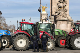 Thumbnail for 6909006